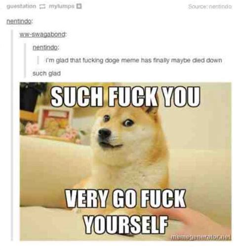 1000 Images About Much Doge Such Board On Pinterest Toronto Sushi