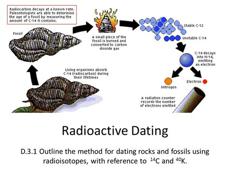 How Is Radiometric Dating Of Fossils Different From Relative Dating