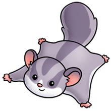 We did not find results for: sugarglider | fluff favourites | Pinterest | Sugar gliders ...
