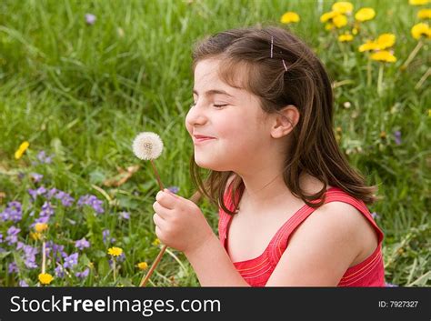Little Girl Blowing Dandelion Seeds Free Stock Images And Photos