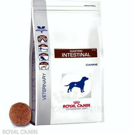 Prior to this she ate any type of dry food. Royal Canin Gastrointestinal 2Kg Veterinary diet dry dog ...