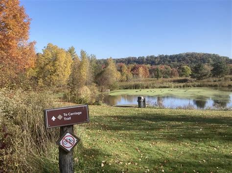 Hinckley Reservation Judges Lake Medina Ohio Us Birding Hotspots