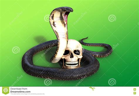 Black mamba stammt aus bestimmten regionen afrikas. Schlangenangriff Und -schädel Der Königskobra 3d Stock ...