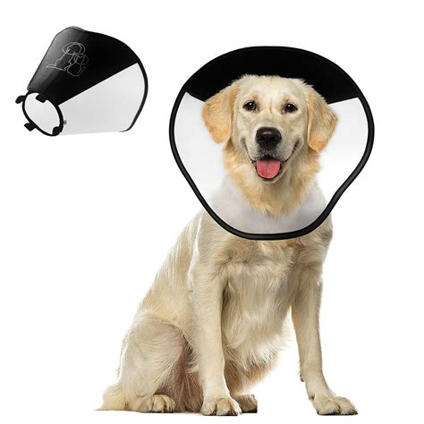 How Should A Dog Cone Fit