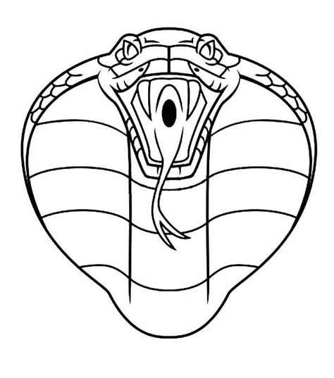 Cobra Head Drawing Free Download On Clipartmag