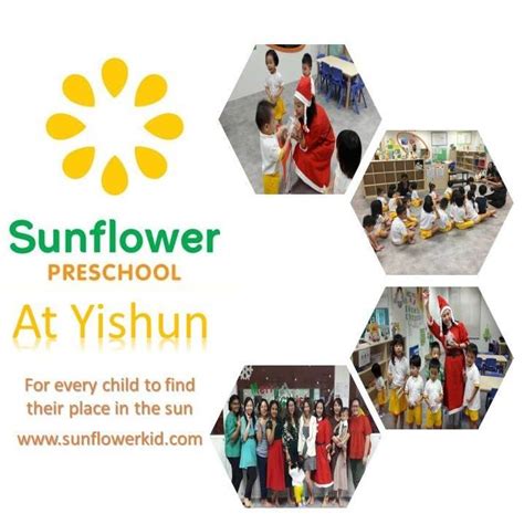 Sunflower Preschool Yishun Got Class Classes For Every Kidgot