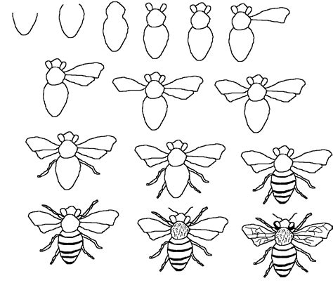 Bees Grade 2 Bloemen Tekenen Bloemtekening Dieren Tekenen