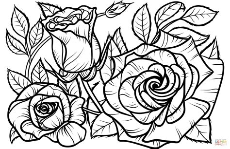 Plantillas Dibujos De Rosas Para Colorear E Imprimir People