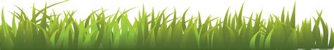 Grass Png Image Green Grass Png Picture Transparent Image Download