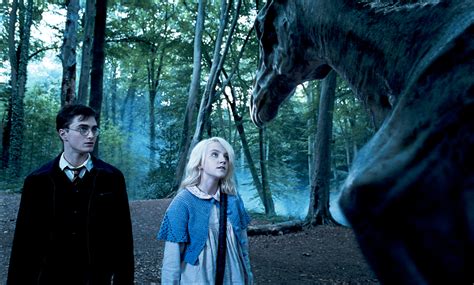 Things You May Not Have Noticed About Luna Lovegood Wizarding World