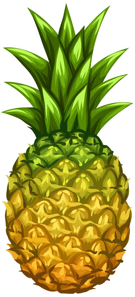 pineapple clipart png 10 free Cliparts | Download images on Clipground 2021