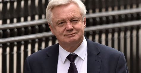 David Davis Says He Does Not Need To Be Very Clever To Be Brexit