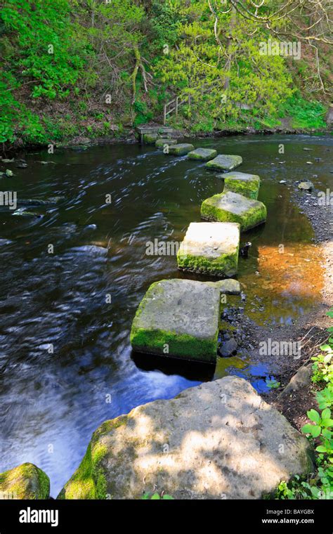 Stepping Stones Across The River Don At Thurgoland Barnsley South