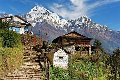 Ghandruk Nepal The Picturesque Town Of Ghandruk Sits At 2 Flickr