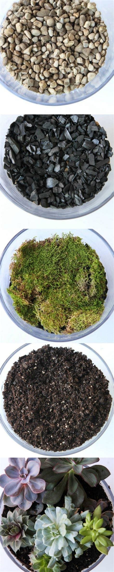 Sup guys i'm sam and today i do another gameplay of the cool sandbox game terraria. How to Make a Succulent Terrarium | Succulent terrarium ...
