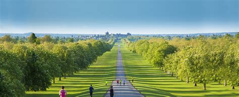 2,723 likes · 1 talking about this · 70,624 were here. Welcome to Windsor Great Park | Windsor Great Park