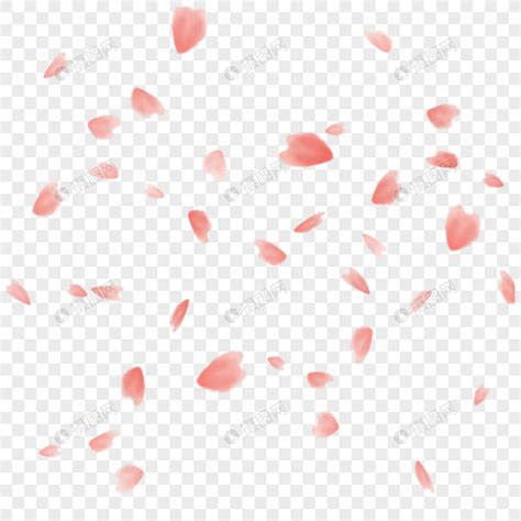 粉红花瓣元素素材下载 正版素材401453326 摄图网