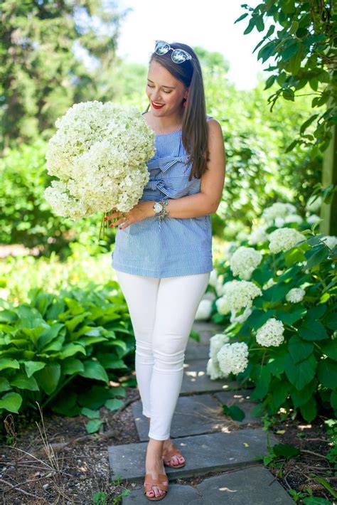 3 Tips For Keeping Hydrangeas Alive And Not Wilting Covering The Bases Bloglovin Teen