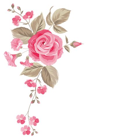Free Floral Png Transparent Png Png Collections At Dlfpt