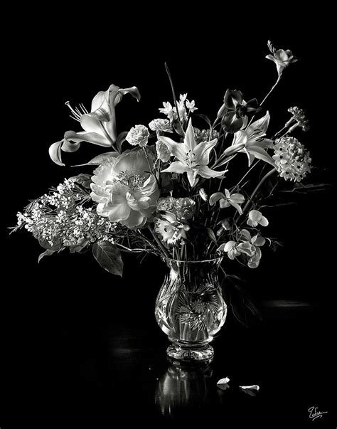 Still Life In Black And White Photograph By Endre Balogh