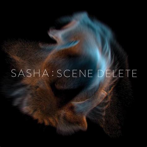 Sasha Scene Delete 2016 Avaxhome