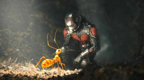 Ant Man Superhero Action Marvel Disney Comics Ant Man Wallpapers