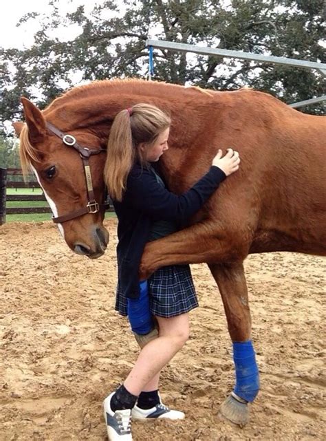 Gazant Finally Found His Forever Home Horses Animal Hugs Funny Animals