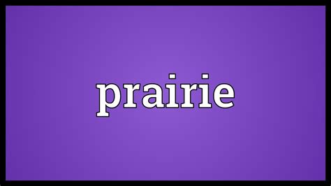 When they go to austria, they like. Prairie Meaning - YouTube