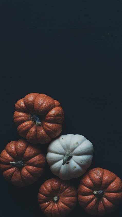 Pumpkin Iphone Wallpapers On Wallpaperdog