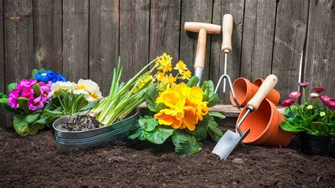 Less Mess Canada How To Start A Garden From Scratch