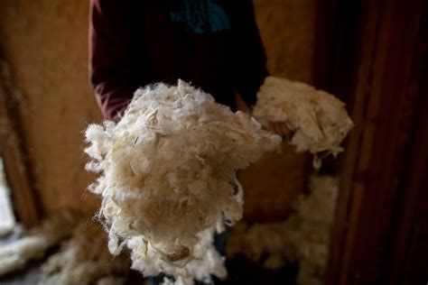 Climate Beneficial Wool Program Woolgatherer Carding Mill