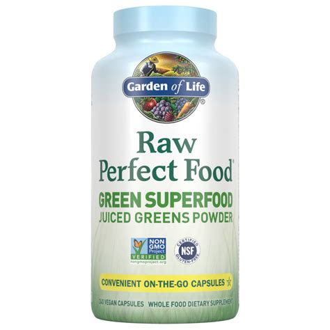 Garden Of Life Raw Perfect Food Green Super Food 240 Vegetarian