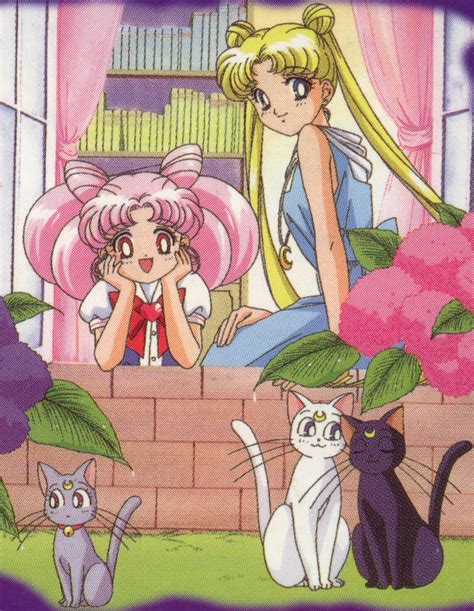 Bishoujo Senshi Sailor Moon Luna Artemis Usagi Tsukino Chibi Usa