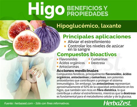 Higo Herbazest