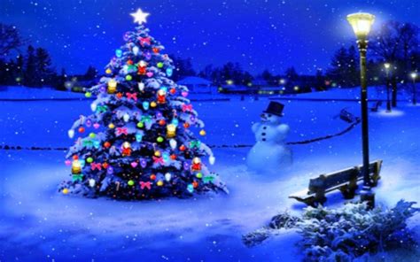 Christmas Tree Wallpapers Hd 71 Images