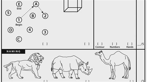 Care providers and researchers of all backgrounds will gain applicable knowledge of neuroanatomy and the cognitive domains that moca assesses. Moca Clock Scoring : Montreal Cognitive Assessment Moca ...