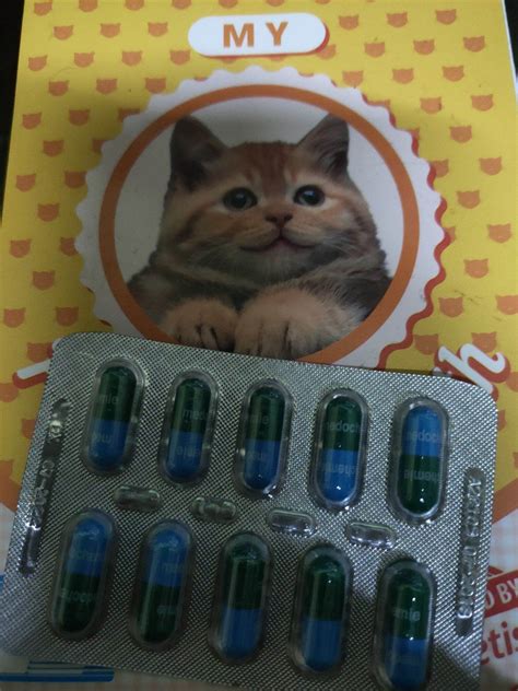 ubat demam selsema kucing dan anjing/fever cough cold loss appetite
