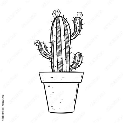 Black And White Cactus In Pot With Line Art Or Sketchy Style Stock