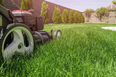 Hiring A Professional Lawn Care Company Urban Eden Landscaping