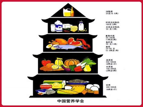China Has A Food Guide Pagoda Food Pyramid Chinese Food Food
