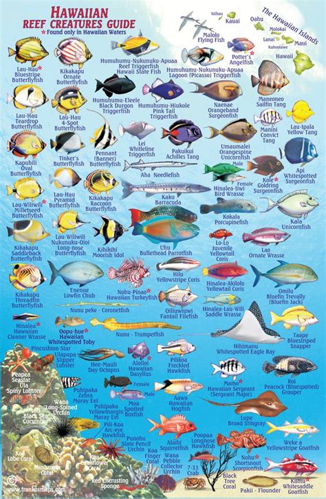 Hawaiian Fish Reef2reef Saltwater And Reef Aquarium Forum
