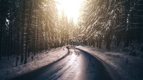 1920x1080 Forest Nature Road Snow Tree Winter 5k Laptop Full Hd 1080p