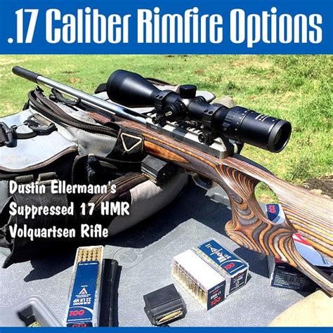 Rimfire 17s — Three Great Options 17 Hmr 17 Mach 2 17 Wms Daily