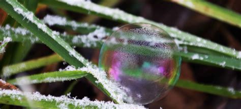 Free Picture Sphere Frost Macro Snowflake Leaf Plant Nature