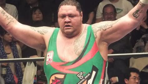 Top 10 Biggest Sumo Wrestler Ever Updated