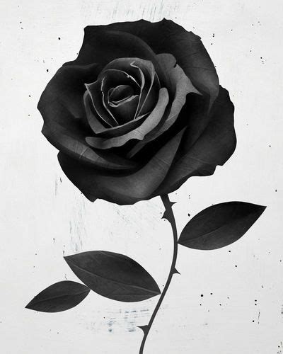 Flower drawing wallpapers we have about (707) wallpapers in (1/24) pages. Graphic 3D rose drawing tattoo | Rose tattoos | Pinterest ...