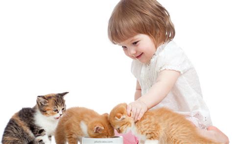 آشنایی بچه گربه و گربه بالغ با کودکان پتریزو فروشگاه اینترنتی گربه