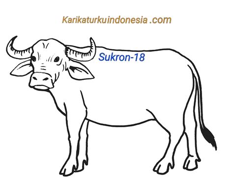 Hewan ternak domba 8211 contoh gambar mewarnai throughout gambar domba mewarnai. Mewarnai Gambar Hewan Ternak