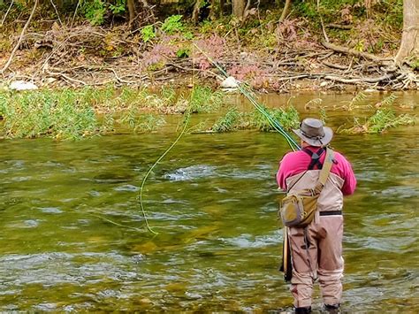 Trout Stocking Va Todaysearch Result