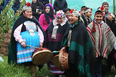 Leyendas Mapuches Mitos Cuentos Y MÁs